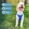 imageBest Pet Supplies Voyager Adjustable Dog Vest Harness Breathable No Pull Harness for Small Medium Large Dogs Heavy Duty Harness Easy Stepin Reflective Stripes  Lavender M Chest 1721quotHarness Leash Set Royal Blue