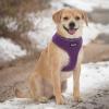 imageBest Pet Supplies Voyager Adjustable Dog Vest Harness Breathable No Pull Harness for Small Medium Large Dogs Heavy Duty Harness Easy Stepin Reflective Stripes  Lavender M Chest 1721quot220 Style Purple