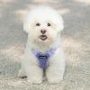imageBest Pet Supplies Voyager Adjustable Dog Vest Harness Breathable No Pull Harness for Small Medium Large Dogs Heavy Duty Harness Easy Stepin Reflective Stripes  Lavender M Chest 1721quotHarness Lavender