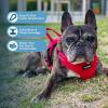 imageBest Pet Supplies Voyager Adjustable Dog Vest Harness Breathable No Pull Harness for Small Medium Large Dogs Heavy Duty Harness Easy Stepin Reflective Stripes  Lavender M Chest 1721quotHarness Red