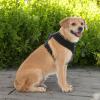 imageBest Pet Supplies Voyager Adjustable Dog Vest Harness Breathable No Pull Harness for Small Medium Large Dogs Heavy Duty Harness Easy Stepin Reflective Stripes  Lavender M Chest 1721quot220 Style Black