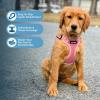 imageBest Pet Supplies Voyager Adjustable Dog Vest Harness Breathable No Pull Harness for Small Medium Large Dogs Heavy Duty Harness Easy Stepin Reflective Stripes  Lavender M Chest 1721quotHarness Leash Set Pink