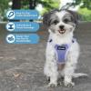 imageBest Pet Supplies Voyager Adjustable Dog Vest Harness Breathable No Pull Harness for Small Medium Large Dogs Heavy Duty Harness Easy Stepin Reflective Stripes  Lavender M Chest 1721quotHarness Lavender