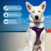 imageBest Pet Supplies Voyager Adjustable Dog Vest Harness Breathable No Pull Harness for Small Medium Large Dogs Heavy Duty Harness Easy Stepin Reflective Stripes  Lavender M Chest 1721quotHarness Leash Set Purple