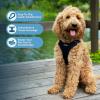 imageBest Pet Supplies Voyager Adjustable Dog Vest Harness Breathable No Pull Harness for Small Medium Large Dogs Heavy Duty Harness Easy Stepin Reflective Stripes  Lavender M Chest 1721quotHarness Black