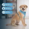 imageBest Pet Supplies Voyager Adjustable Dog Vest Harness Breathable No Pull Harness for Small Medium Large Dogs Heavy Duty Harness Easy Stepin Reflective Stripes  Lavender M Chest 1721quot220 Style Blue