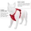 imageVoyager Freestyle 4in1 Dog Harness  Patent Pending Adjustable Webbing Harness with Removable Padding for Small to Large Dogs by Best Pet supplies  Fuchsia LRed