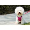imageVoyager Freestyle 4in1 Dog Harness  Patent Pending Adjustable Webbing Harness with Removable Padding for Small to Large Dogs by Best Pet supplies  Fuchsia LTurquoise
