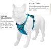 imageVoyager Freestyle 4in1 Dog Harness  Patent Pending Adjustable Webbing Harness with Removable Padding for Small to Large Dogs by Best Pet supplies  Fuchsia LTurquoise