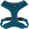 220 Style (Turquoise)