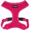 220 Style (Fuchsia)