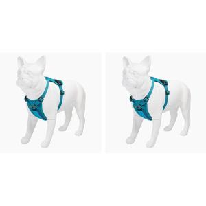 imageVoyager Freestyle 4in1 Dog Harness  Patent Pending Adjustable Webbing Harness with Removable Padding for Small to Large Dogs by Best Pet supplies  Fuchsia LTurquoise