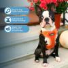 imageBest Pet Supplies Voyager Aerolite No Pull Mesh Dog Harness Reflective Stitching Breathable Harness Adjustable for Walking Training Running Heavy Duty and Durable Beige LHarness Leash Set Orange
