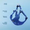 imageBest Pet Supplies Voyager Aerolite No Pull Mesh Dog Harness Reflective Stitching Breathable Harness Adjustable for Walking Training Running Heavy Duty and Durable Beige LHarness Royal Blue