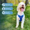 imageBest Pet Supplies Voyager Aerolite No Pull Mesh Dog Harness Reflective Stitching Breathable Harness Adjustable for Walking Training Running Heavy Duty and Durable Beige LHarness Royal Blue