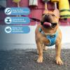 imageBest Pet Supplies Voyager Aerolite No Pull Mesh Dog Harness Reflective Stitching Breathable Harness Adjustable for Walking Training Running Heavy Duty and Durable Beige LHarness Leash Set Baby Blue