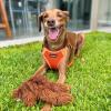 imageBest Pet Supplies Voyager Aerolite No Pull Mesh Dog Harness Reflective Stitching Breathable Harness Adjustable for Walking Training Running Heavy Duty and Durable Beige LHarness Leash Set Orange