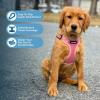 imageBest Pet Supplies Voyager Aerolite No Pull Mesh Dog Harness Reflective Stitching Breathable Harness Adjustable for Walking Training Running Heavy Duty and Durable Beige LHarness Pink