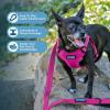 imageBest Pet Supplies Voyager Aerolite No Pull Mesh Dog Harness Reflective Stitching Breathable Harness Adjustable for Walking Training Running Heavy Duty and Durable Beige LHarness Fuchsia