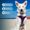 imageBest Pet Supplies Voyager Aerolite No Pull Mesh Dog Harness Reflective Stitching Breathable Harness Adjustable for Walking Training Running Heavy Duty and Durable Beige LHarness Purple