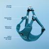 imageBest Pet Supplies Voyager Aerolite No Pull Mesh Dog Harness Reflective Stitching Breathable Harness Adjustable for Walking Training Running Heavy Duty and Durable Beige LHarness Turquoise