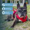 imageBest Pet Supplies Voyager Aerolite No Pull Mesh Dog Harness Reflective Stitching Breathable Harness Adjustable for Walking Training Running Heavy Duty and Durable Beige LHarness Leash Set Red