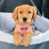 imageBest Pet Supplies Voyager Aerolite No Pull Mesh Dog Harness Reflective Stitching Breathable Harness Adjustable for Walking Training Running Heavy Duty and Durable Beige LHarness Pink