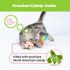 imageCatify by Best Pet Supplies Interactive Cat Toys  Plush MotionActivated ampamp Squeaking Toys with Premium North American Catnip for Indoor Cats ampamp Kittens  Flapping Chick FuchsiaSqueaking Mice Beige  Gray