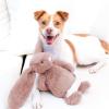 imageBest Pet Supplies Interactive Squeaky Dog Chew Toy Ideal Dog Toys for Chewers Small Medium ampamp Large Dogs and Fetch Lovers  Bunny Mauve MediumBunny Mauve