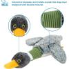 imageBest Pet Supplies Interactive Squeaky Dog Chew Toy Ideal Dog Toys for Chewers Small Medium ampamp Large Dogs and Fetch Lovers  Bunny Mauve MediumMallard Duck Wing Gray
