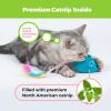 imageCatify by Best Pet Supplies Interactive Cat Toys  Plush MotionActivated ampamp Squeaking Toys with Premium North American Catnip for Indoor Cats ampamp Kittens  Meow Chase PlaysetSqueaking Mice Blue  Fuchsia