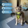imageVoyager EscapeProof Stepin Lock Cat Harness ampamp 5ft NeopreneHandle Leash Set AllWeather Mesh with Reflective Stitching for Small to Large Cats by Best Pet Supplies Lavender 327 XSHarness Leash Set Lime GreenBlack Trim