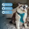 imageVoyager EscapeProof Stepin Lock Cat Harness ampamp 5ft NeopreneHandle Leash Set AllWeather Mesh with Reflective Stitching for Small to Large Cats by Best Pet Supplies Lavender 327 XSHarness Leash Set Turquoise