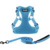 Harness Leash Set (Baby Blue)