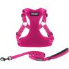 Harness Leash Set (Fuchsia)