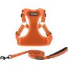 Harness Leash Set (Orange)