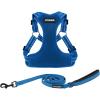 Harness Leash Set (Royal Blue)