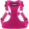 Harness (Fuchsia)