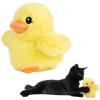 imageCatify by Best Pet Supplies Interactive Cat Toys  Plush MotionActivated ampamp Squeaking Toys with Premium North American Catnip for Indoor Cats ampamp Kittens  Meow Chase PlaysetDuckling Yellow