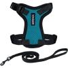 Harness Leash Set (Turquoise/Black Trim)