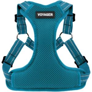 imageBest Pet Supplies Voyager Mesh Dog Breathable Harness Reflective Stitching All Weather Adjustable for Walking Training or Running  Heavy Duty ampamp Durable Harness Turquoise MHarness Turquoise