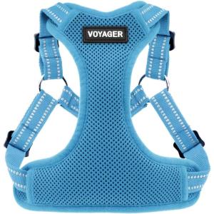 imageBest Pet Supplies Voyager Mesh Dog Breathable Harness Reflective Stitching All Weather Adjustable for Walking Training or Running  Heavy Duty ampamp Durable Harness Turquoise MHarness Baby Blue