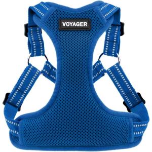 imageBest Pet Supplies Voyager Mesh Dog Breathable Harness Reflective Stitching All Weather Adjustable for Walking Training or Running  Heavy Duty ampamp Durable Harness Turquoise MHarness Royal Blue