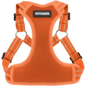 imageBest Pet Supplies Voyager Mesh Dog Breathable Harness Reflective Stitching All Weather Adjustable for Walking Training or Running  Heavy Duty ampamp Durable Harness Turquoise MHarness Orange