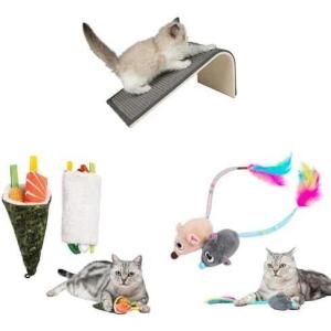 imageCatify Ultimate Cat Play Gift Set  Scratcher Ramp Sushi Roll Catnip Toys ampamp Squeaking Mice Toys