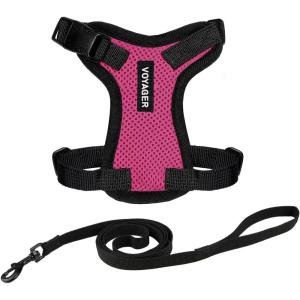 imageVoyager EscapeProof Stepin Lock Cat Harness ampamp 5ft NeopreneHandle Leash Set AllWeather Mesh with Reflective Stitching for Small to Large Cats by Best Pet Supplies Lavender 327 XSHarness Leash Set FuchsiaBlack Trim