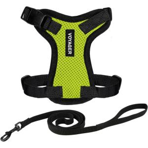 imageVoyager EscapeProof Stepin Lock Cat Harness ampamp 5ft NeopreneHandle Leash Set AllWeather Mesh with Reflective Stitching for Small to Large Cats by Best Pet Supplies Lavender 327 XSHarness Leash Set Lime GreenBlack Trim