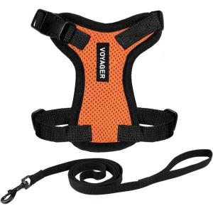 imageVoyager EscapeProof Stepin Lock Cat Harness ampamp 5ft NeopreneHandle Leash Set AllWeather Mesh with Reflective Stitching for Small to Large Cats by Best Pet Supplies Lavender 327 XSHarness Leash Set OrangeBlack Trim