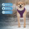 image:imageVoyager Aerolite Over The Head Dog Harness No Pull Breathable Air Mesh Vest Quick Dry with Reflective Stitching Adjustable Escape Resistant Harness for Small Medium Large Dogs  Beige MediumPurple