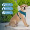 image:imageVoyager Aerolite Over The Head Dog Harness No Pull Breathable Air Mesh Vest Quick Dry with Reflective Stitching Adjustable Escape Resistant Harness for Small Medium Large Dogs  Beige MediumTurquoise